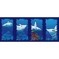 鯊魚警報 Shark Alarm_2 鯊魚警報 Shark Alarm_2
