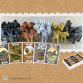 非洲之旅 Wildlife safari_2 非洲之旅 Wildlife safari_2