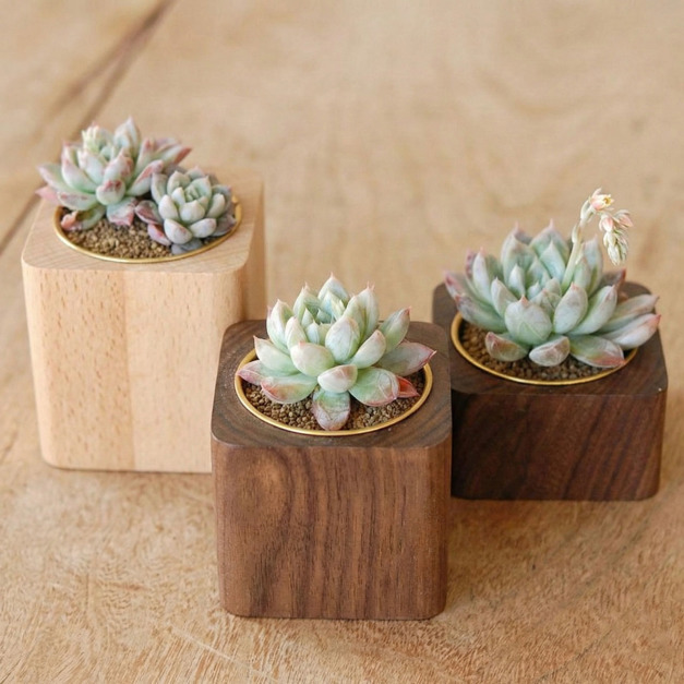 大正唯美 小花器 多肉/黑胡桃/櫸木/職人手作 454NA 大正唯美 小花器 多肉/黑胡桃/櫸木/職人手作 454NA