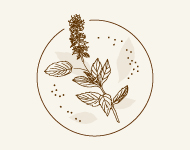 薄荷醇