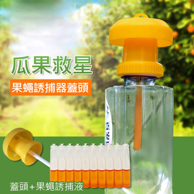 經濟型 果蠅誘捕器蓋頭 引誘器搭配礦泉水瓶(蓋頭5入+誘捕液10入) 經濟型 果蠅誘捕器蓋頭 引誘器搭配礦泉水瓶(蓋頭5入+誘捕液10入)