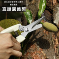 園藝剪刀 家用修枝剪 嫁接/園林剪_5 園藝剪刀 家用修枝剪 嫁接/園林剪_5