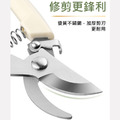 園藝剪刀 家用修枝剪 嫁接/園林剪_1 園藝剪刀 家用修枝剪 嫁接/園林剪_1