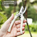 園藝剪刀 家用修枝剪 嫁接/園林剪_4 園藝剪刀 家用修枝剪 嫁接/園林剪_4