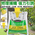 綠色誘蠅神袋2入★戶外懸掛式蒼蠅袋 捕蠅袋 綠色誘蠅神袋2入★戶外懸掛式蒼蠅袋 捕蠅袋