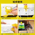 綠色誘蠅神袋2入★戶外懸掛式蒼蠅袋 捕蠅袋_5 綠色誘蠅神袋2入★戶外懸掛式蒼蠅袋 捕蠅袋_5