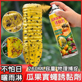 2罐★瓜果實蠅針蜂誘黏劑 果蠅黏膠 噴霧式黏蠅劑 260ml_2 2罐★瓜果實蠅針蜂誘黏劑 果蠅黏膠 噴霧式黏蠅劑 260ml_2