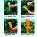 2罐★瓜果實蠅針蜂誘黏劑 果蠅黏膠 噴霧式黏蠅劑 260ml_3 2罐★瓜果實蠅針蜂誘黏劑 果蠅黏膠 噴霧式黏蠅劑 260ml_3