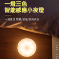 人體感應燈 馬卡龍LED小夜燈 露營燈 (USB充電)_1 人體感應燈 馬卡龍LED小夜燈 露營燈 (USB充電)_1
