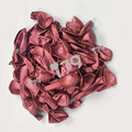 10吋圓形-金屬紅色J01(星牌)Metallic red_1 10吋圓形-金屬紅色J01(星牌)Metallic red_1