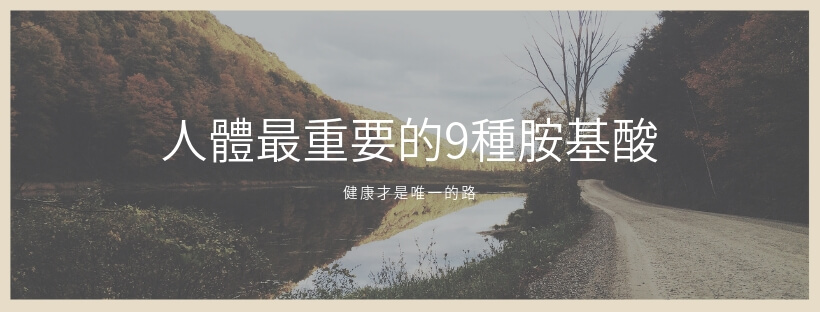 支鏈胺基酸,胺基酸功效,必需胺基酸,胺基酸補充品,胺基酸保健食品,胺基酸蛋白質,非必需胺基酸,必需胺基酸食物,蜂花粉,宜禾豐天然花粉,北極星Polestar 支鏈胺基酸,胺基酸功效,必需胺基酸,胺基酸補充品,胺基酸保健食品,胺基酸蛋白質,非必需胺基酸,必需胺基酸食物,蜂花粉,宜禾豐天然花粉,北極星Polestar