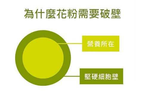 吃花粉好處,花粉價格,什麼人不能吃花粉,花粉的營養,花粉保存期限,花粉推薦,花粉功效美容,花粉是什麼,宜禾豐天然蜂花粉,北極星Polestar 吃花粉好處,花粉價格,什麼人不能吃花粉,花粉的營養,花粉保存期限,花粉推薦,花粉功效美容,花粉是什麼,宜禾豐天然蜂花粉,北極星Polestar