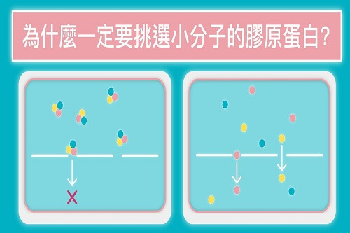 水解膠原蛋白推薦,膠原蛋白粉推薦,日本膠原蛋白推薦2018,膠原蛋白粉怎麼吃,膠原蛋白粉功效,膠原蛋白粉有效嗎,宜禾豐膠原蛋白,北極星Polestar 水解膠原蛋白推薦,膠原蛋白粉推薦,日本膠原蛋白推薦2018,膠原蛋白粉怎麼吃,膠原蛋白粉功效,膠原蛋白粉有效嗎,宜禾豐膠原蛋白,北極星Polestar