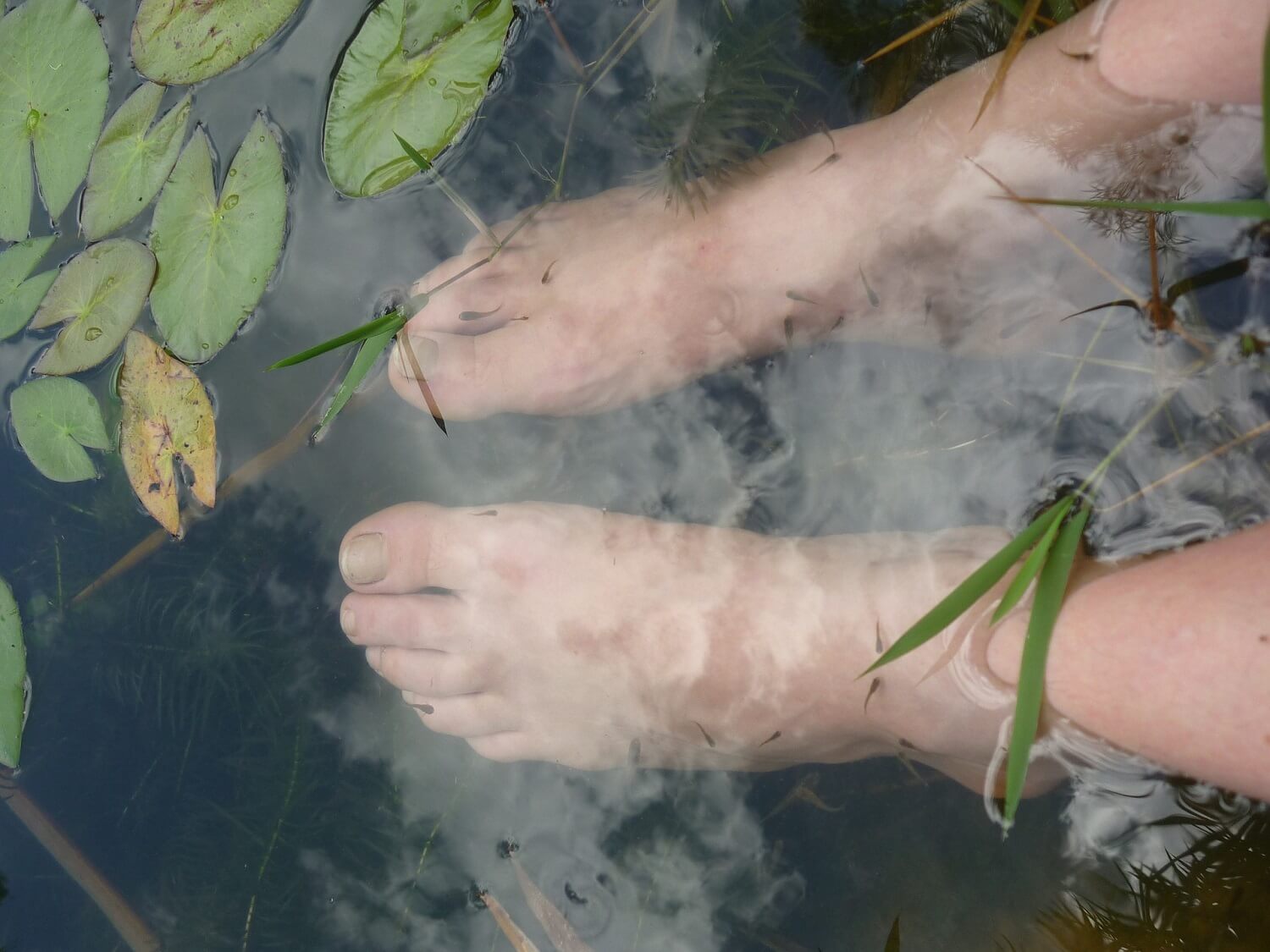 白醋,白醋洗臉,白醋泡腳,白醋清潔,白醋小蘇打,白醋推薦,白醋哪裡買,白醋料理,白醋功效,晶巧飲食坊,北極星Polestar 白醋,白醋洗臉,白醋泡腳,白醋清潔,白醋小蘇打,白醋推薦,白醋哪裡買,白醋料理,白醋功效,晶巧飲食坊,北極星Polestar