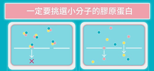 羥脯胺酸,補充膠原蛋白,膠原蛋白維生素C,膠原蛋白最重要的胺基酸,脯胺酸食物,膠原蛋白含量測定,膠原蛋白,宜禾豐膠原蛋白,北極星Polestar 羥脯胺酸,補充膠原蛋白,膠原蛋白維生素C,膠原蛋白最重要的胺基酸,脯胺酸食物,膠原蛋白含量測定,膠原蛋白,宜禾豐膠原蛋白,北極星Polestar