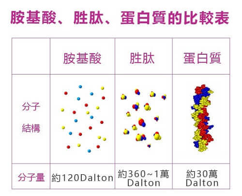 膠原蛋白怎麼吃,膠原蛋白粉功效,膠原蛋白怎麼吃才有效,補充膠原蛋白的方法,膠原蛋白粉直接吃,水解膠原蛋白是什麼,宜禾豐膠原蛋白,北極星Polestar 膠原蛋白怎麼吃,膠原蛋白粉功效,膠原蛋白怎麼吃才有效,補充膠原蛋白的方法,膠原蛋白粉直接吃,水解膠原蛋白是什麼,宜禾豐膠原蛋白,北極星Polestar