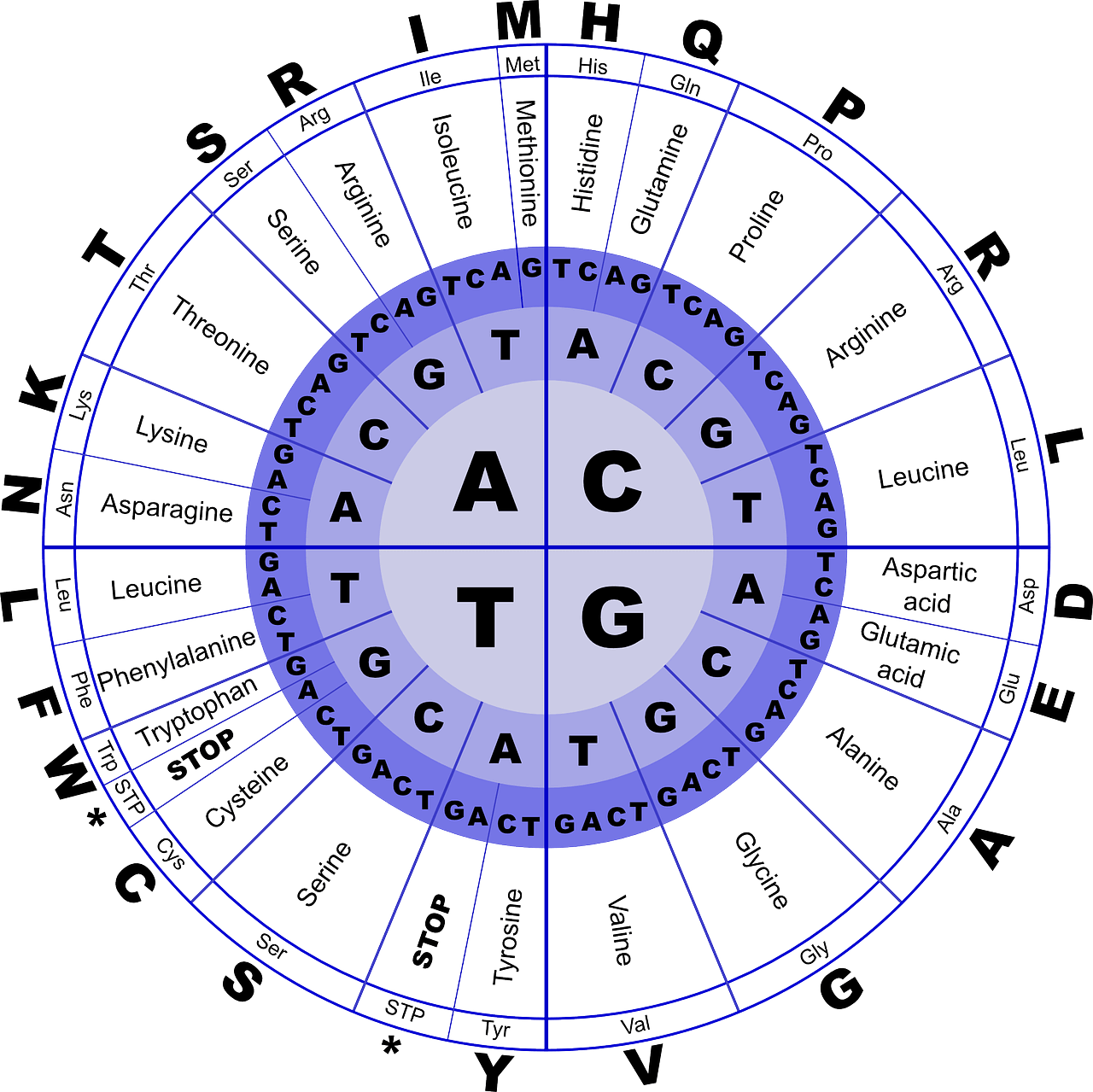 花粉功效,花粉的功效,花粉的功效禁忌,花粉推薦,花粉功效美容,蜂花粉,宜禾豐天然花粉,北極星小學堂,北極星Polestar 花粉功效,花粉的功效,花粉的功效禁忌,花粉推薦,花粉功效美容,蜂花粉,宜禾豐天然花粉,北極星小學堂,北極星Polestar
