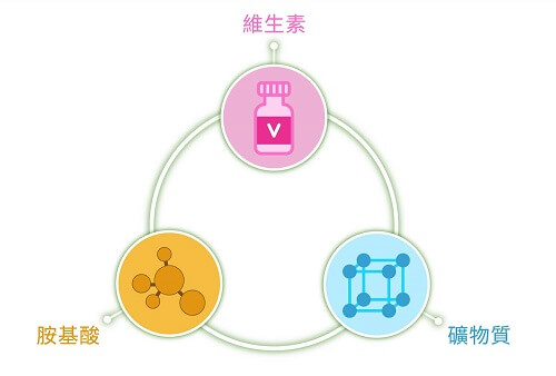 【花粉的好處】全家人都適合的營養品 【花粉的好處】全家人都適合的營養品