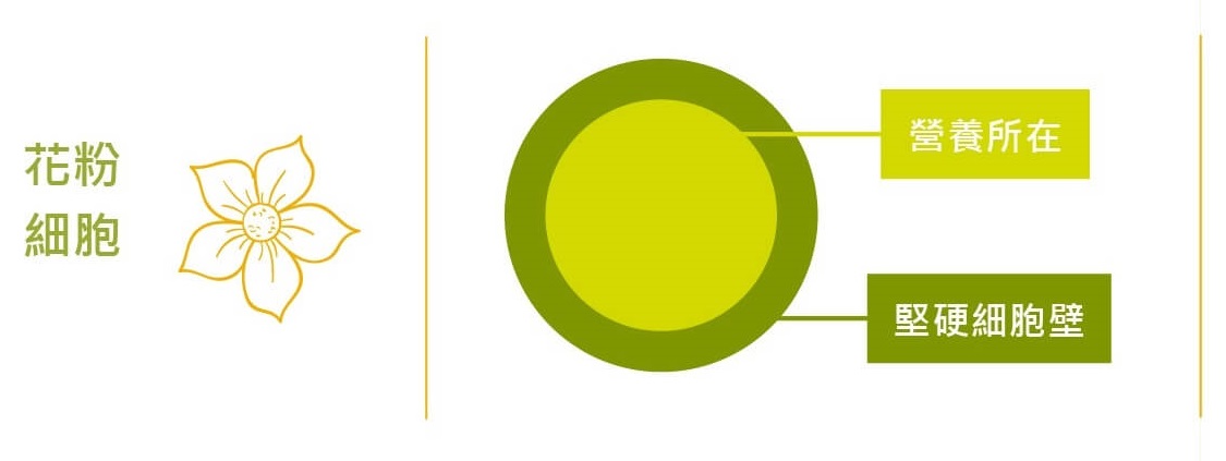 蜂花粉,大自然最完美的營養品,3秒內補充一天的營養,三秒內補充一天的營養,破壁花粉,北極星花粉評價,花粉推薦,花粉哪裡買,宜禾豐天然花粉,北極星Polestar 蜂花粉,大自然最完美的營養品,3秒內補充一天的營養,三秒內補充一天的營養,破壁花粉,北極星花粉評價,花粉推薦,花粉哪裡買,宜禾豐天然花粉,北極星Polestar