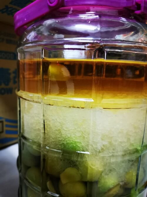 一次可以做好幾種水果醋,分裝水果醋,小瓶子分裝水果醋,20公升米醋,大容量米醋,水果醋專用米醋,米醋,晶巧純釀米醋,北極星體驗文,北極星開箱文,北極星Polestar 一次可以做好幾種水果醋,分裝水果醋,小瓶子分裝水果醋,20公升米醋,大容量米醋,水果醋專用米醋,米醋,晶巧純釀米醋,北極星體驗文,北極星開箱文,北極星Polestar