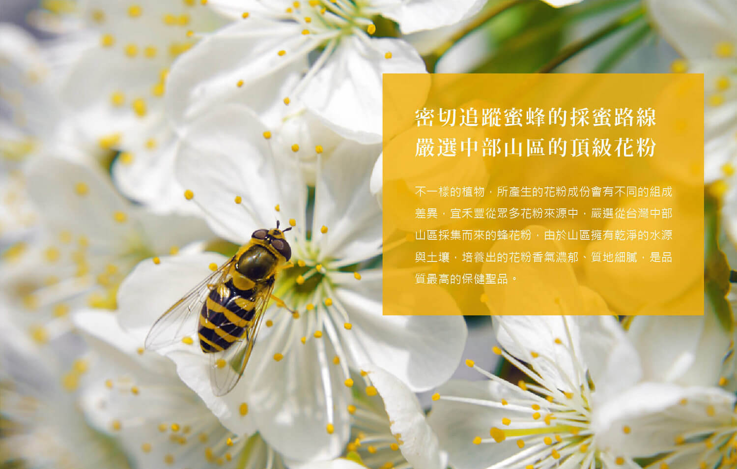 蜂花粉,蜂花粉功效,蜂花粉推薦,蜂花粉哪裡買,花粉功效,花粉推薦,花粉哪裡買,買花粉,花粉購買,蜂花粉專賣店,宜禾豐天然花粉,北極星Polestar 蜂花粉,蜂花粉功效,蜂花粉推薦,蜂花粉哪裡買,花粉功效,花粉推薦,花粉哪裡買,買花粉,花粉購買,蜂花粉專賣店,宜禾豐天然花粉,北極星Polestar