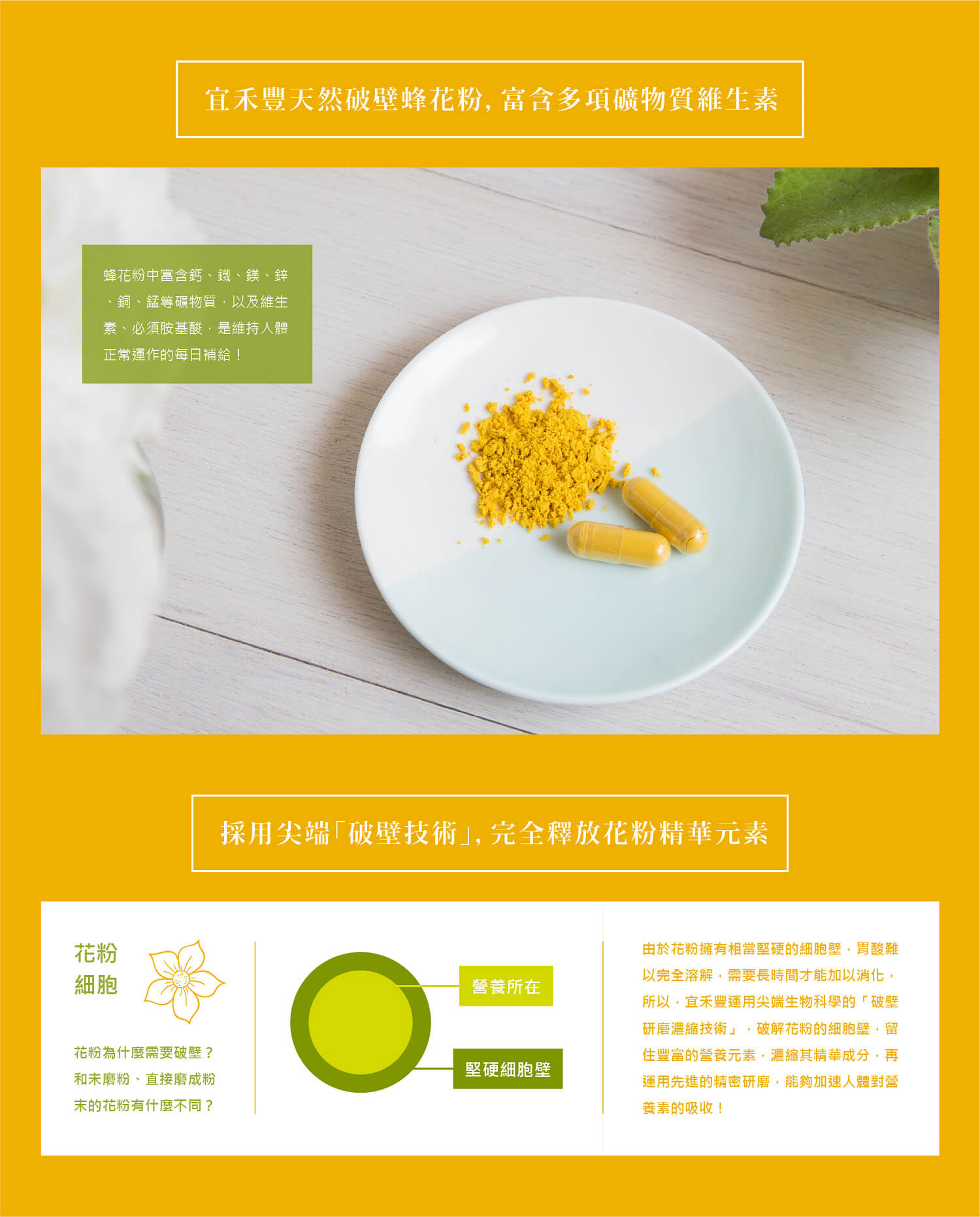蜂花粉,蜂花粉功效,蜂花粉推薦,蜂花粉哪裡買,花粉功效,花粉推薦,花粉哪裡買,買花粉,花粉購買,蜂花粉專賣店,宜禾豐天然花粉,北極星Polestar 蜂花粉,蜂花粉功效,蜂花粉推薦,蜂花粉哪裡買,花粉功效,花粉推薦,花粉哪裡買,買花粉,花粉購買,蜂花粉專賣店,宜禾豐天然花粉,北極星Polestar