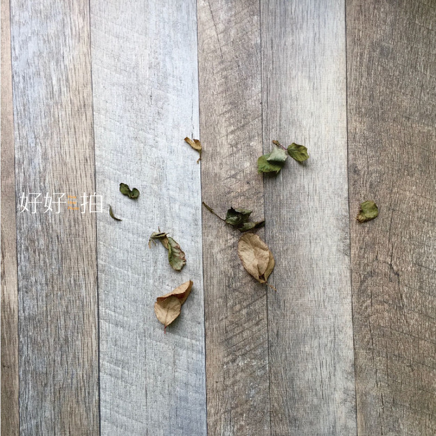 斑駁的記憶|拍照背景板