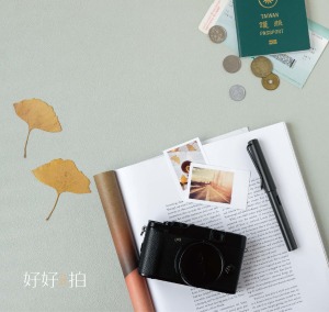 莫蘭迪(灰綠)|拍照背景板 莫蘭迪(灰綠)|拍照背景板