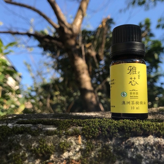 優惠-★純澳洲茶樹精油-10ml + 純澳洲茶樹純露/精露(植物精華液)-100ml★(原優惠價$1500)