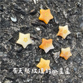 【2026文博會新品】芭啦芭啦 - 香氛玩偶領養組包 【預購】_11 【2026文博會新品】芭啦芭啦 - 香氛玩偶領養組包 【預購】_11