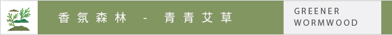 SCENT FOREST 香氛森林 - 精油款氣味  擴香竹 香氛竹 青青艾草