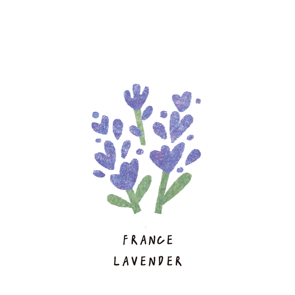 SCENT FOREST 香氛森林 - 香氛噴霧 香氛大豆蠟燭 - 精油款 - 法國薰衣草