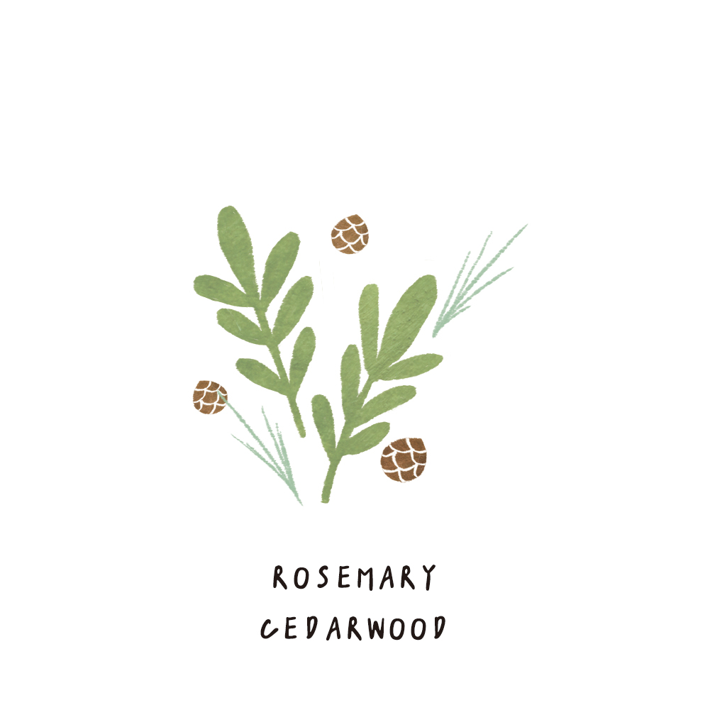 SCENT FOREST 香氛森林 - 香氛噴霧 香氛大豆蠟燭 - 精油款 - 迷迭香雪松