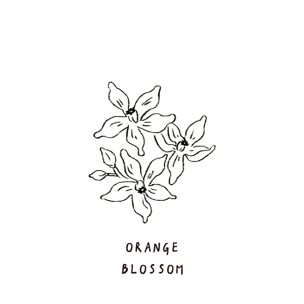 SCENT FOREST 香氛森林 - 香氛噴霧 香氛大豆蠟燭 - 橙花盛開