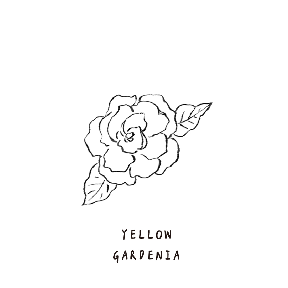 SCENT FOREST 香氛森林 - 香氛噴霧 香氛大豆蠟燭 - 優雅梔子花