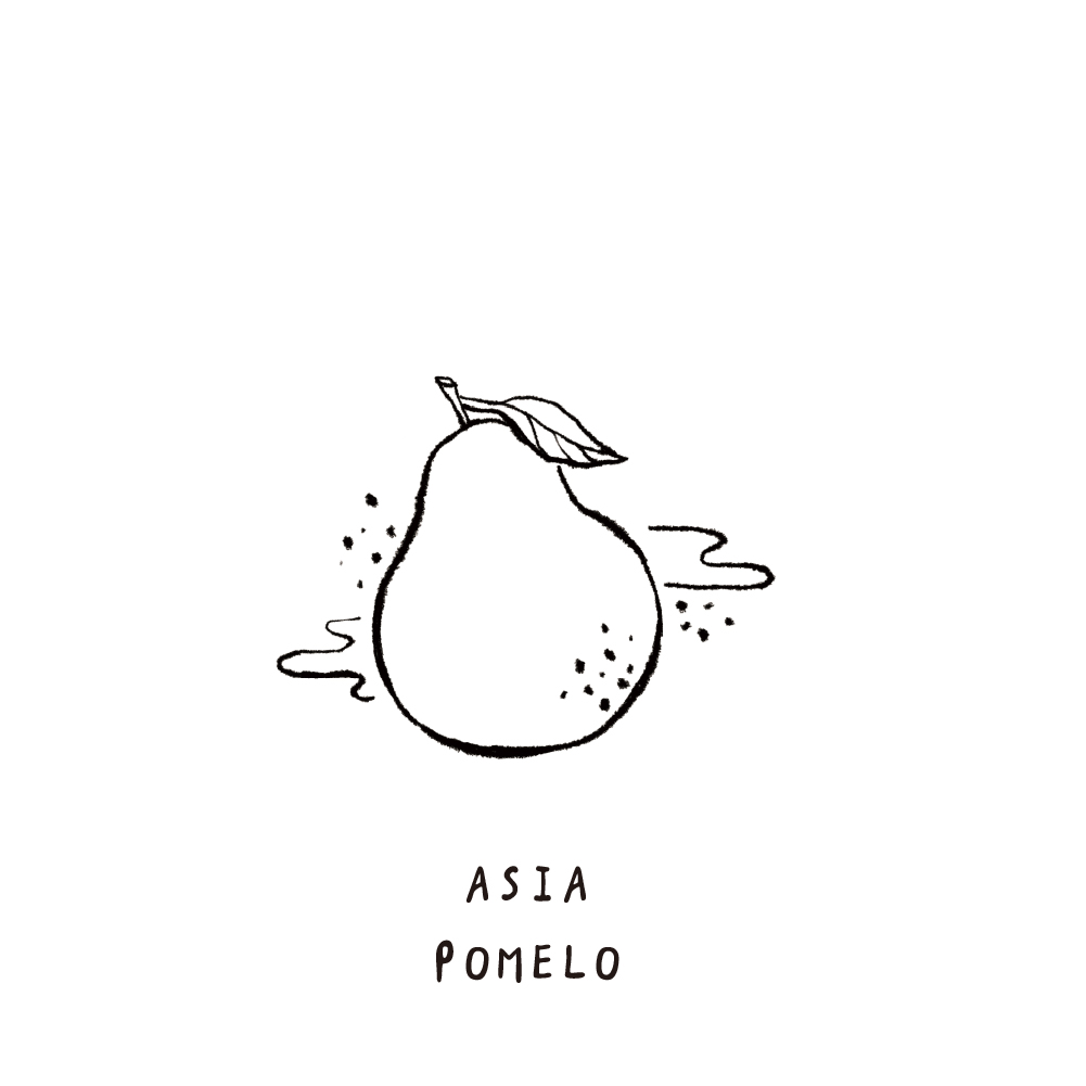 SCENT FOREST 香氛森林 - 香氛噴霧 香氛大豆蠟燭 - 亞洲白柚