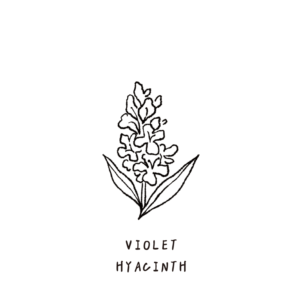 SCENT FOREST 香氛森林 - 香氛噴霧 香氛大豆蠟燭 - 紫羅蘭風信子