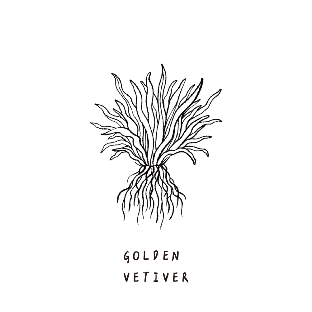 SCENT FOREST 香氛森林 - 香氛噴霧 香氛大豆蠟燭 - 金絲岩蘭草