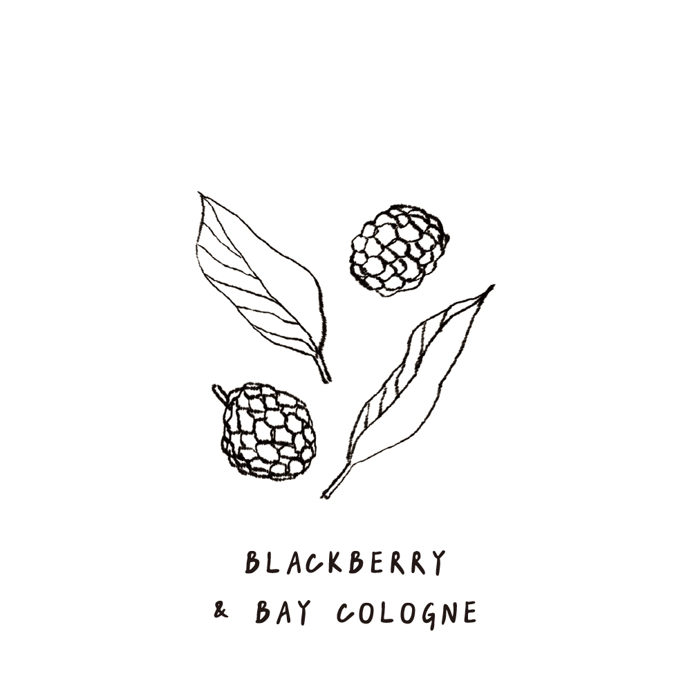 SCENT FOREST 香氛森林 - 香氛噴霧 香氛大豆蠟燭 - 黑莓月桂葉