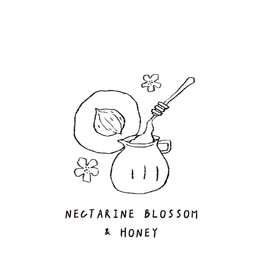 SCENT FOREST 香氛森林 - 香氛噴霧 香氛大豆蠟燭 - 杏桃花蜂蜜