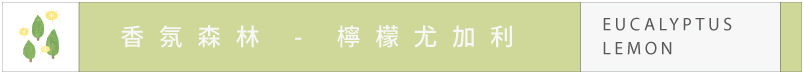 天然精油辦公室吸吸花-檸檬尤加利 清新舒緩 抗菌防蟲