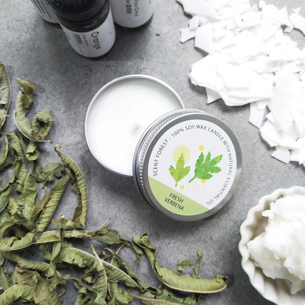 SCENT FOREST 香氛森林 - 室內擴香 香氛大豆蠟燭 擴香花 - 優雅馬鞭草