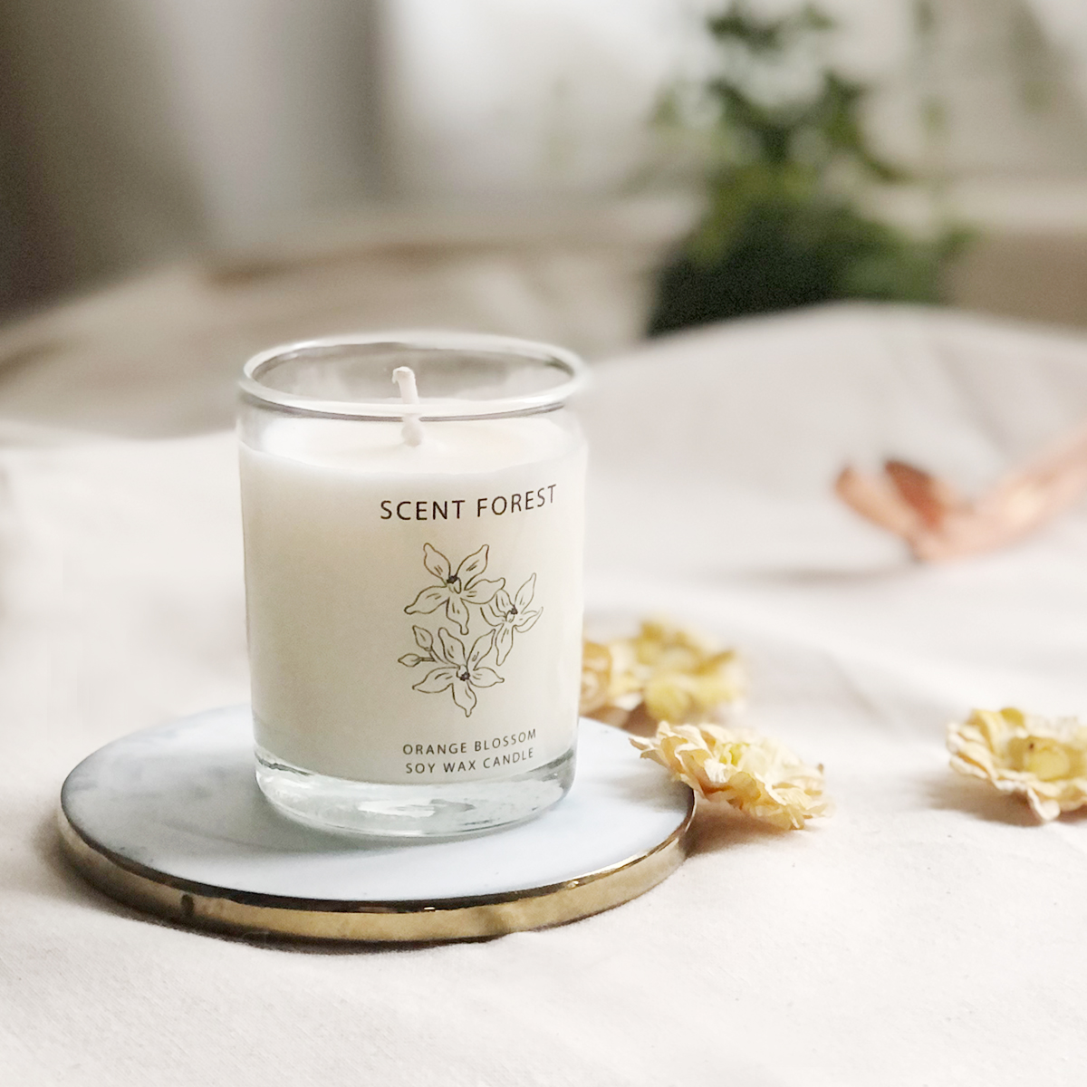 SCENT FOREST 香氛森林 - 香氛噴霧 香氛大豆蠟燭 - 橙花盛開