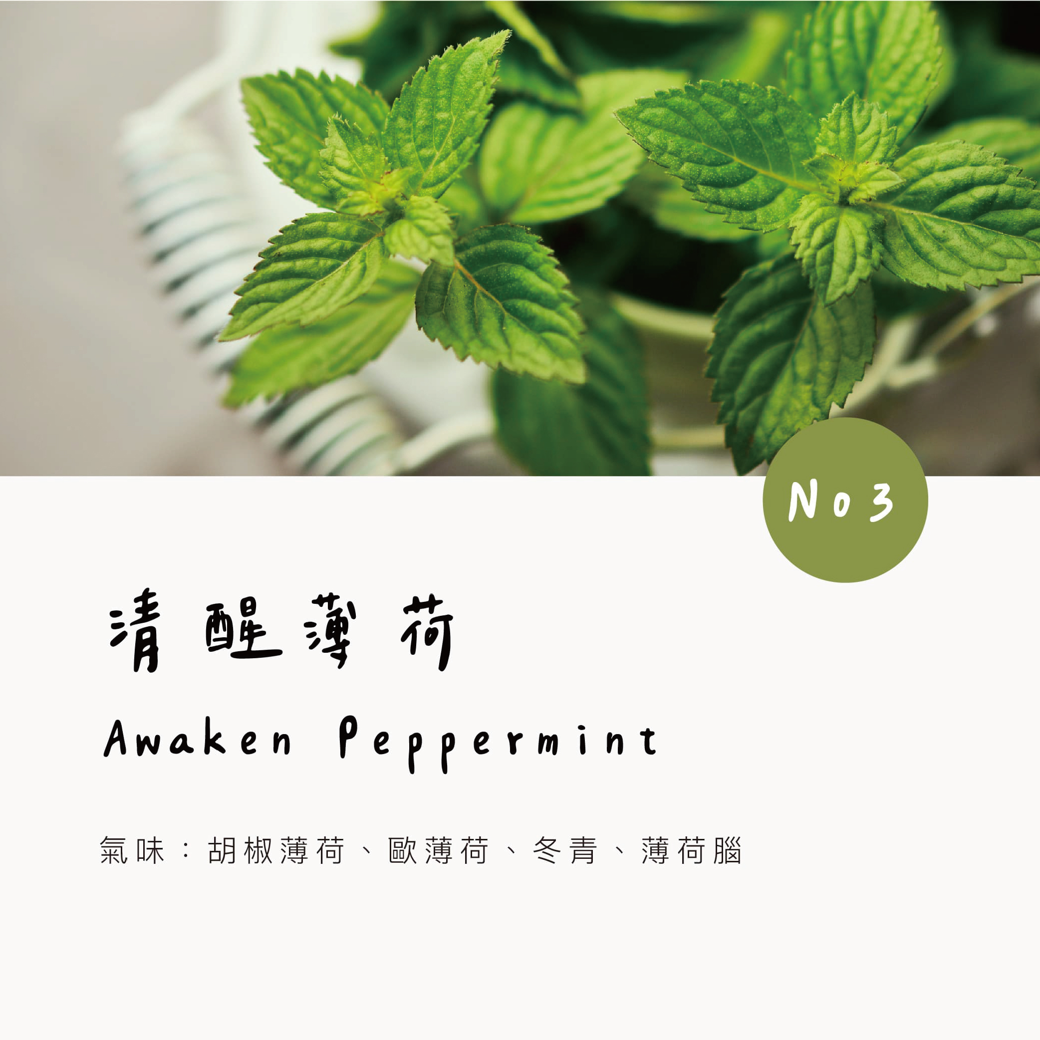 不鏽鋼 香氛/精油/擴香 銀色 - 【新品】質感金屬車用香氛 - 小萌寵【新品上市85折】狗 貓 兔