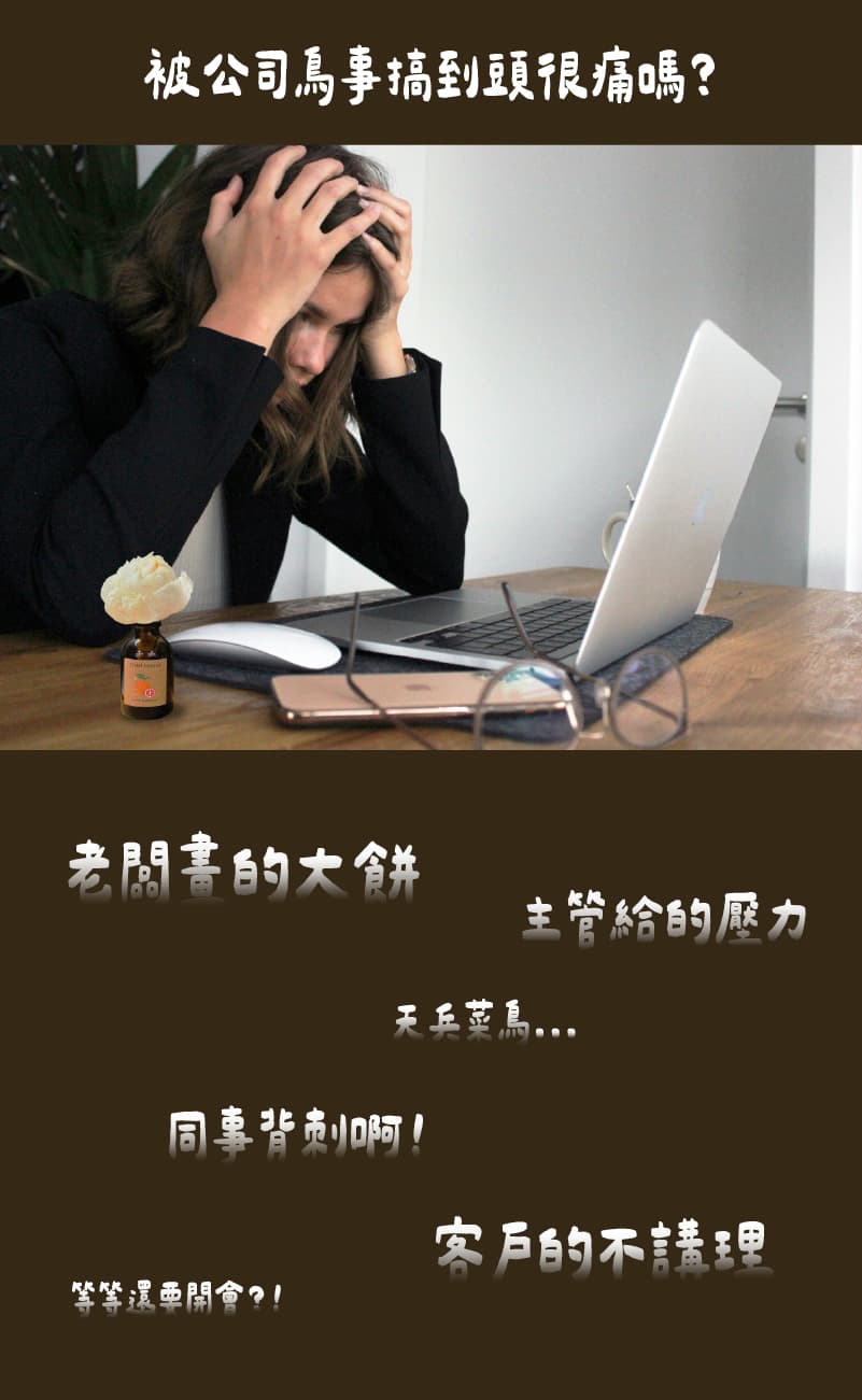 SCENT FOREST 香氛森林 -室內擴香- 天然精油吸吸花 香氛花 索拉花 室內擴香 辦公室、書桌適用,職場舒壓