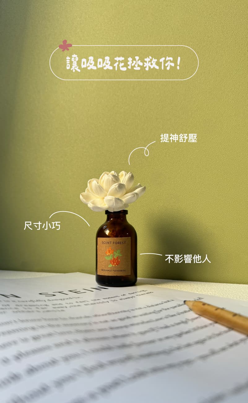 SCENT FOREST 香氛森林 -室內擴香- 天然精油吸吸花 香氛花 索拉花 室內擴香 辦公室、書桌適用