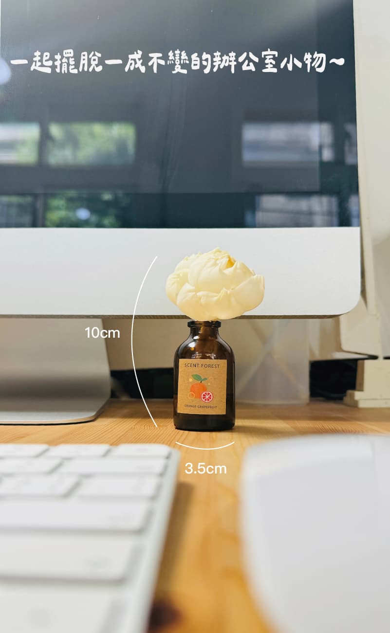 SCENT FOREST 香氛森林 -室內擴香- 天然精油吸吸花 香氛花 索拉花 室內擴香 辦公室、書桌適用 小巧設計