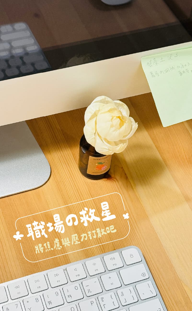 SCENT FOREST 香氛森林 -室內擴香- 天然精油吸吸花 香氛花 索拉花 室內擴香 辦公室、書桌適用