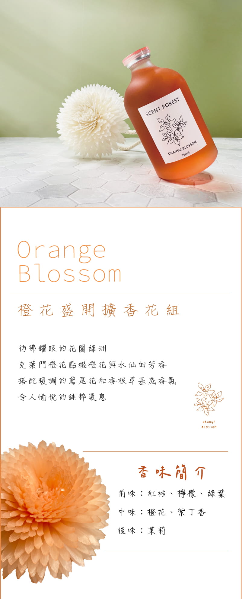 SCENT FOREST 香氛森林 - 室內香氛 - 彩色香水擴香花 香氛花 索拉花 室內擴香 寵物友善