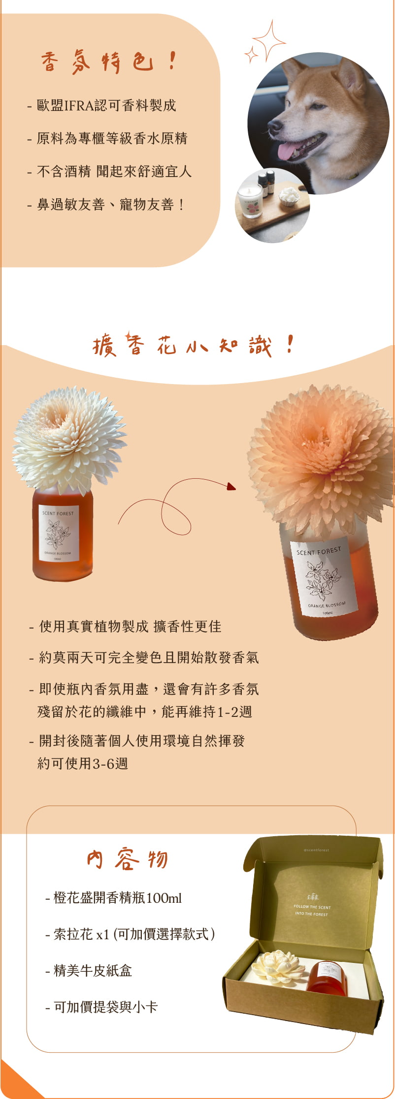 SCENT FOREST 香氛森林 - 室內香氛 - 彩色香水擴香花 香氛花 索拉花 室內擴香 寵物友善